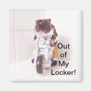 Imán Magnate de locación de martillo