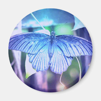 Imán Magnate de mariposa azul