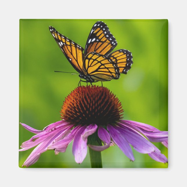 Imán Magnate de mariposa de 2" (Frente)