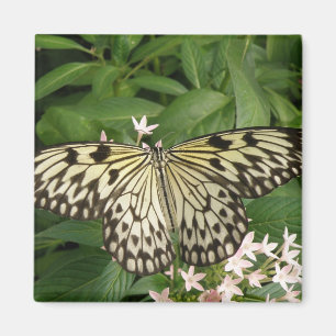 Imán Magnate de mariposa de cometa de papel