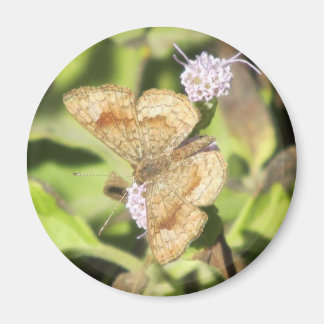 Imán Magnate de mariposa de metal mortal
