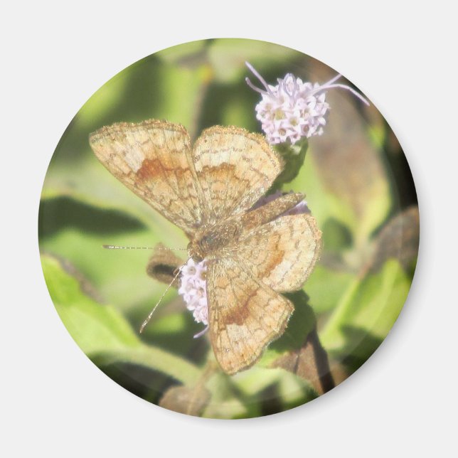 Imán Magnate de mariposa de metal mortal (Frente)