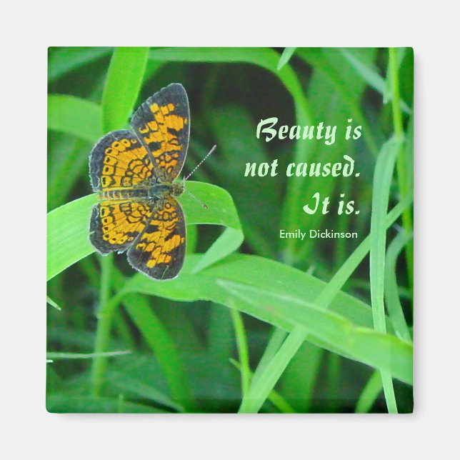 Imán Magnate de mariposa pequeña (Frente)