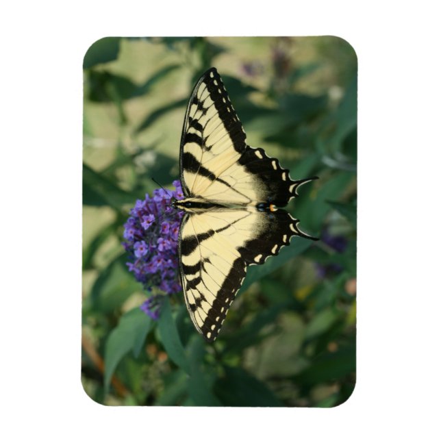 Imán Magnate de mariposa perfectamente alineado (Vertical)