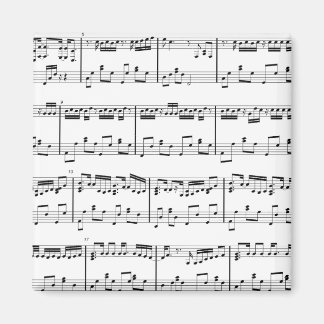 Imán Magnate de música de hojas blancas