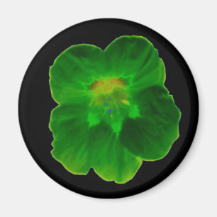 Imán Magnate de Nasturtium Verde