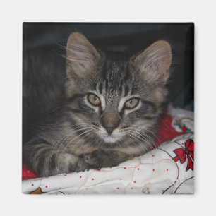 Imán Magnate de Navidades Caspio Cosy