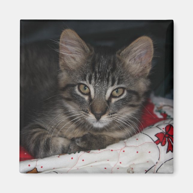Imán Magnate de Navidades Caspio Cosy (Frente)