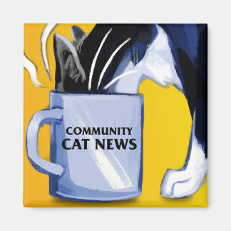 Imán Magnate de noticias sobre gatos de la comunidad cu