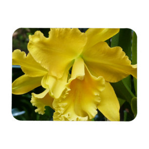 Imán Magnate de orquídeas amarillas