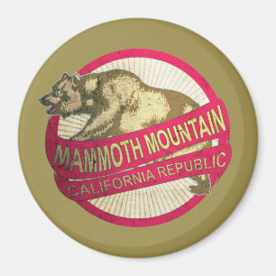 Imán Magnate de oso cosechado en Mammoth Mountain Calif
