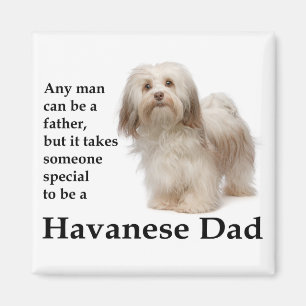 Imán Magnate de Papá Havanés