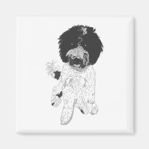 Imán Magnate de perro