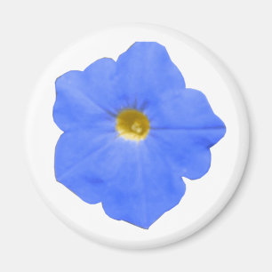 Imán Magnate de Petunia verde azul y amarillo