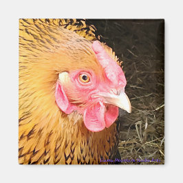 Imán Magnate de pollo #1 Wyandotte con trazo dorado