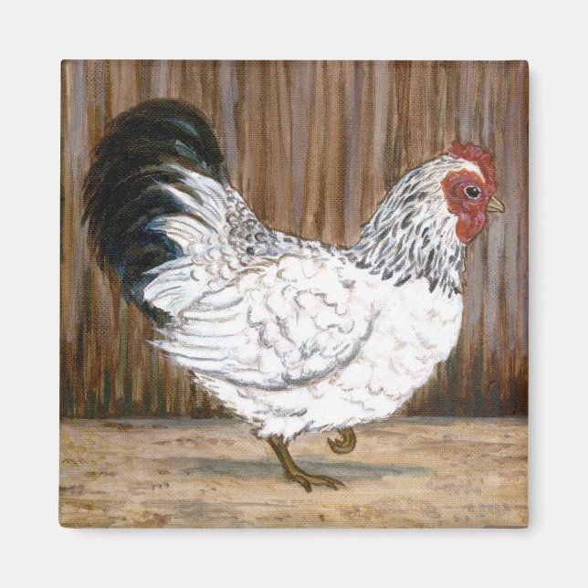 Imán Magnate de pollo blanco (Frente)