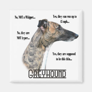 Imán Magnate de preguntas frecuentes de Greyhound