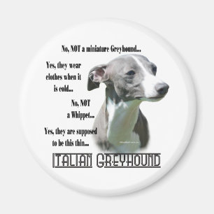 Imán Magnate de preguntas frecuentes de Greyhound en It