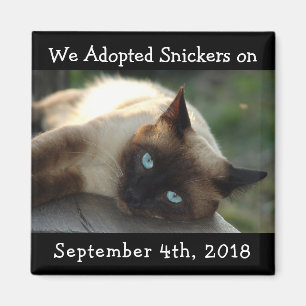 Imán Magnate de recordatorio personalizado de la adopci
