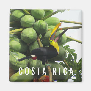 Imán Magnate de recuerdo tropical de Costa Rica