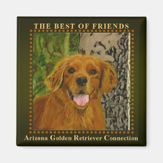 Imán Magnate de recuperación de oro de oliva clásica