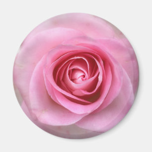 Imán Magnate de redondeo rosa