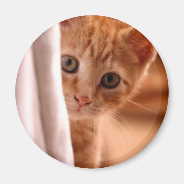 Imán Magnate de refrigerador de Hide-and-Seek Kitty (Frente)