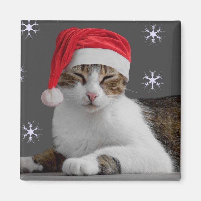 Imán Magnate de Santa Cat (Frente)