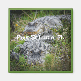 Imán Magnate de souvenir