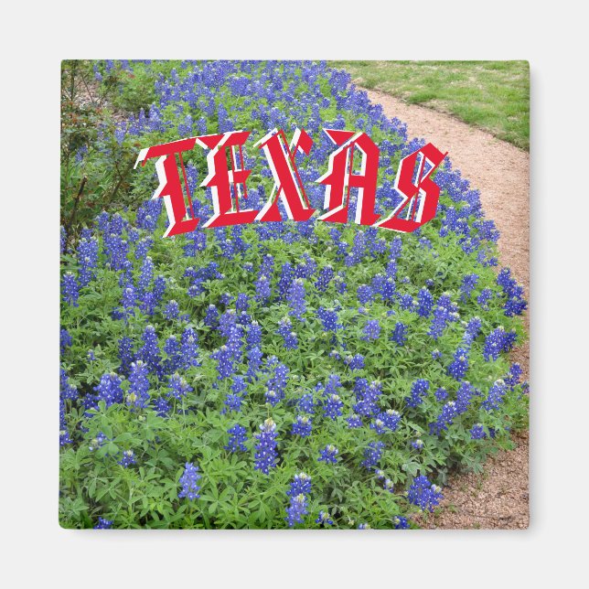 Imán Magnate de Texas para redes de culetería (Frente)