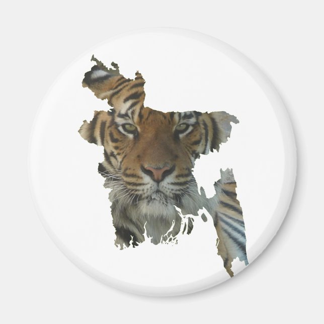 Imán Magnate de tigres bangladesíes (Frente)