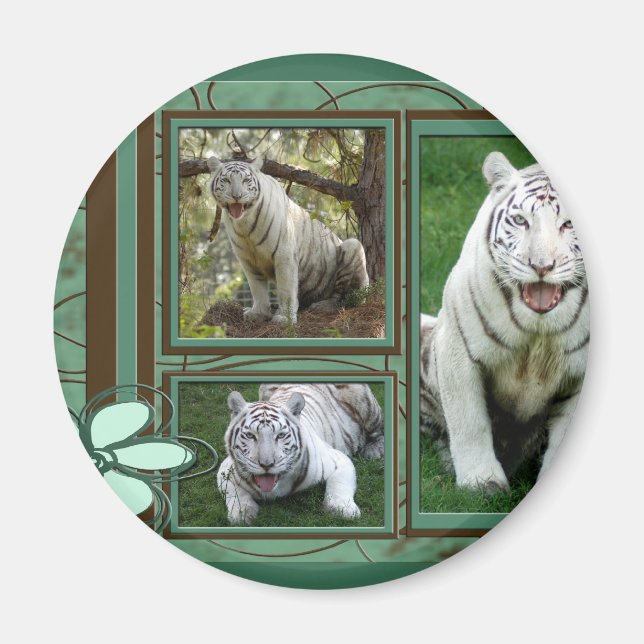 Imán Magnate de tigres blancos (Frente)