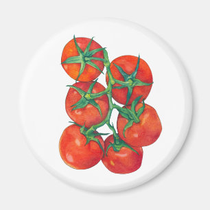 Imán Magnate de tomates rojos