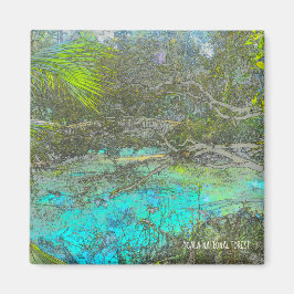 Imán Magnate del Bosque Nacional de la Florida