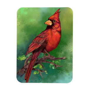 Imán Magnate del Cardenal Rojo del Norte