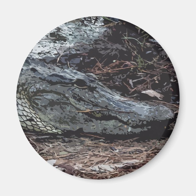 Imán Magnate del coligador estadounidense (Frente)