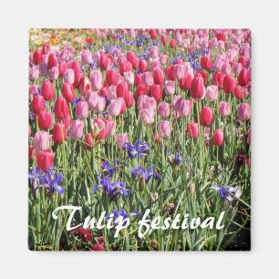 Imán Magnate del festival Tulip