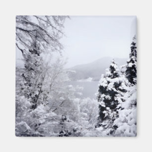 Imán Magnate del lago Nojiri