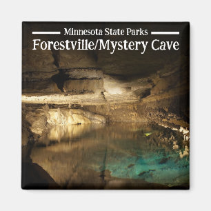 Imán Magnate del Parque Estatal Forestville/Mystery Cav