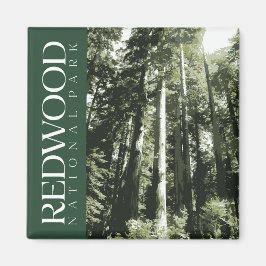 Imán Magnate del Parque Nacional de Redwood