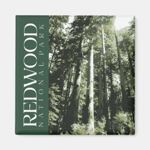 Imán Magnate del Parque Nacional de Redwood
