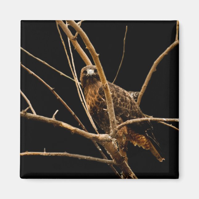 Imán Magnate dorado (Frente)