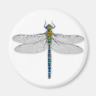 Imán Magnate Dragonfly