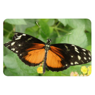 Imán Magnate Flexi Flexi de mariposa de largo de tigre