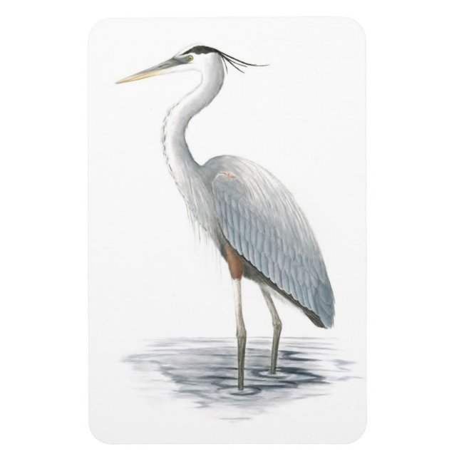 Imán Magnate Flexi Heron Blue (Vertical)