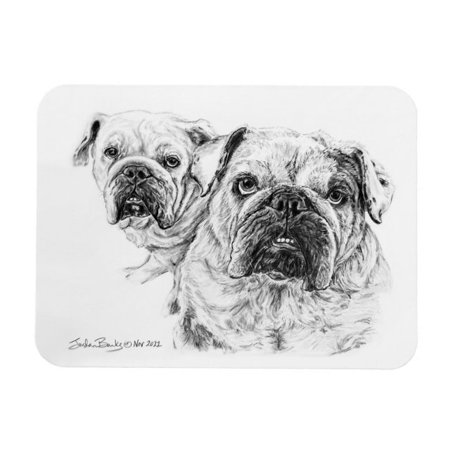 Imán ¡Magnate flexible de la divas calvas! (Horizontal)