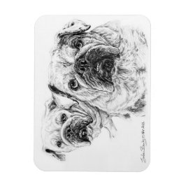 Imán ¡Magnate flexible de la divas calvas!