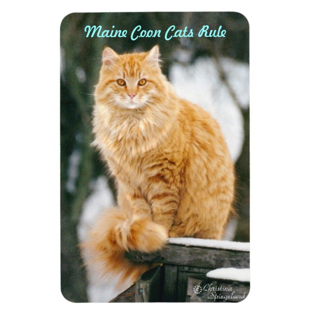 Imán Magnate flexible de Maine coon cat (Vertical)
