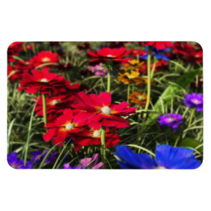 Imán Magnate flexible de primavera iridiscente