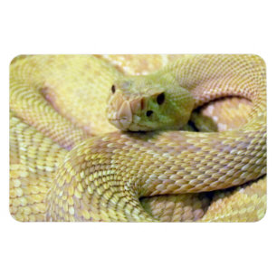 Imán Magnate flexible de serpiente albino